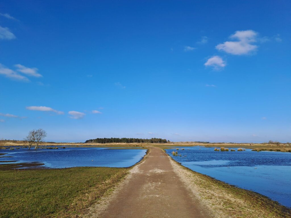 20250216 140730 1024x768